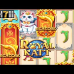 Nâng tầm chiến thắng với FUN88 và Royal Katt